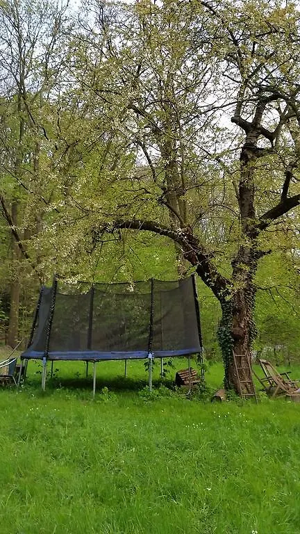 Villa Im Park Wachwitzgrund Dresden 0*,